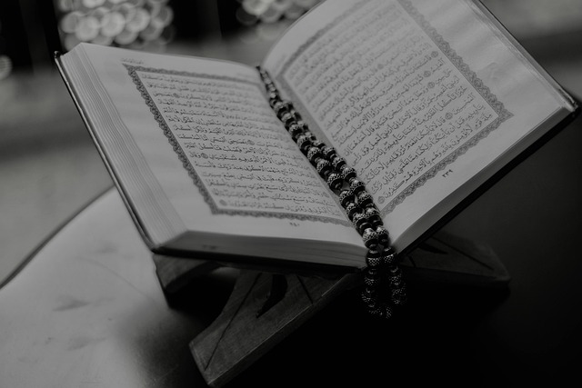 quran, book, islamic, ramadan, muslim, eid, mosque, islami, islami, islami, islami, islami, islami